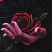 Art Galleries - For Love - 66730